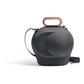 Devialet Cocoon Phantom II