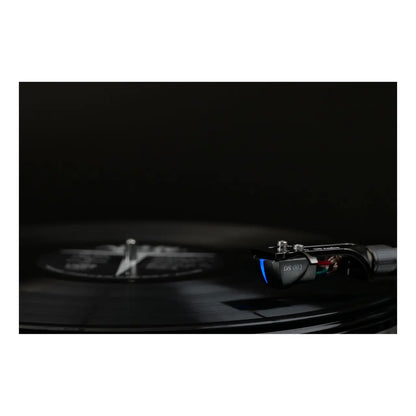 DS AUDIO DS-003 Abtaster