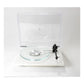 Rega Planar 6 + Ania