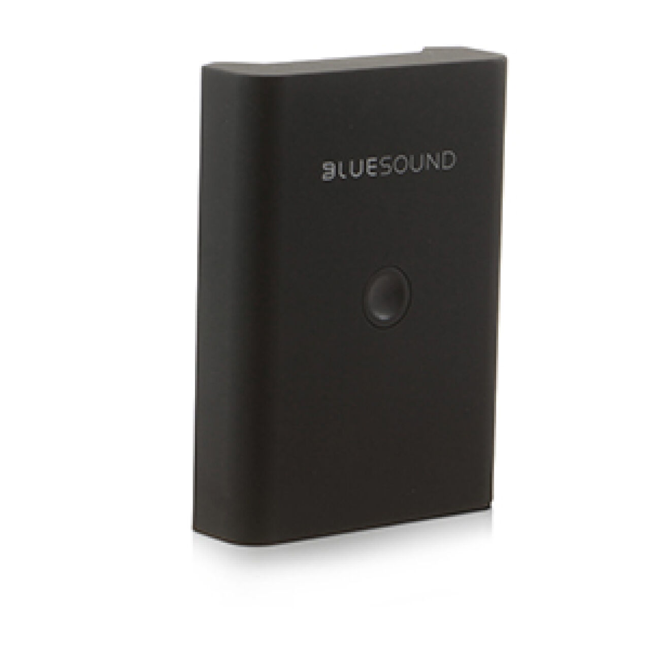 Bluesound BP 100 Pulse Flex Battery Pack